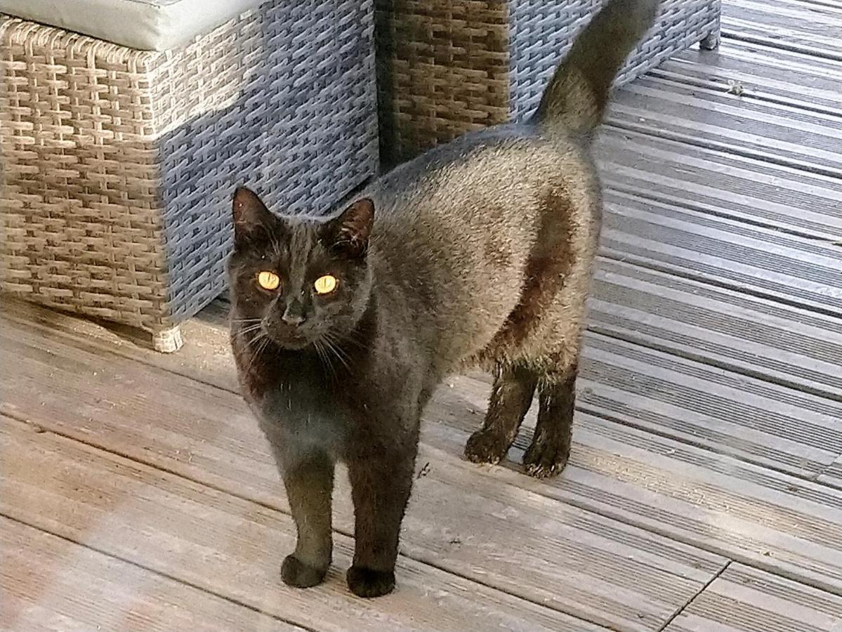 Clan Boucheron Louroux-Bourbonnais Esterno foto