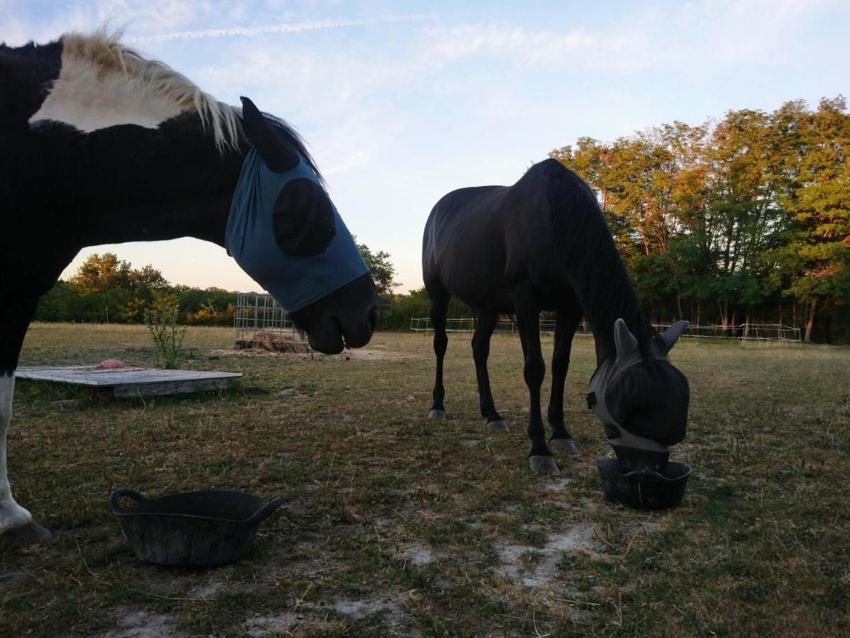 Clan Boucheron Louroux-Bourbonnais Esterno foto