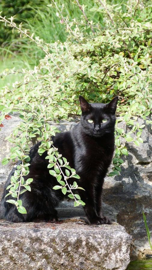Clan Boucheron Louroux-Bourbonnais Esterno foto