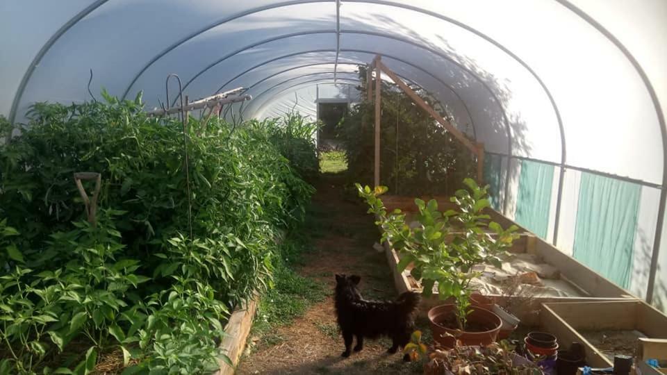 Clan Boucheron Louroux-Bourbonnais Esterno foto